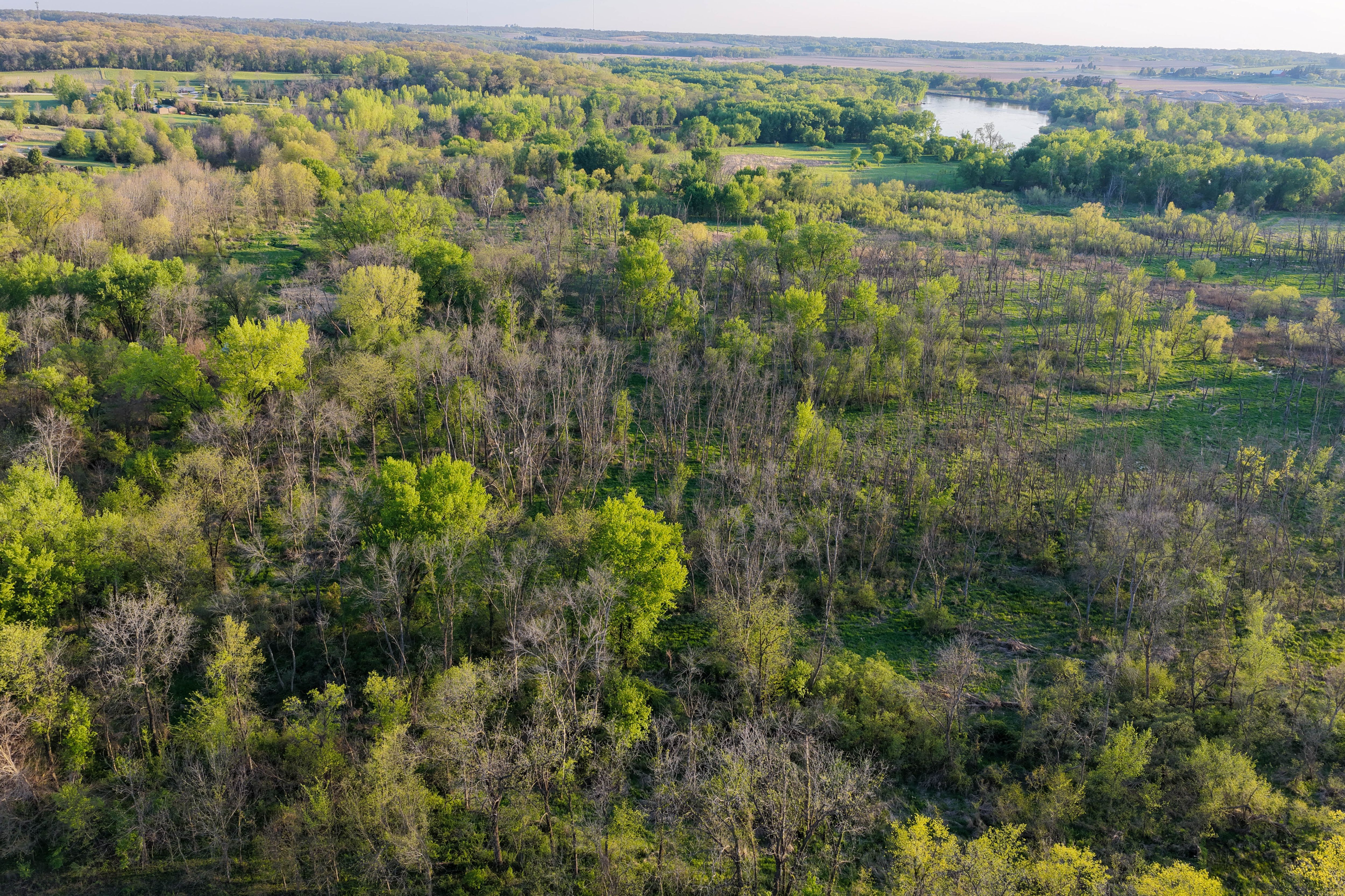 Listing Photo: Cedar County Whitetail Hutning Farm For Sale-32